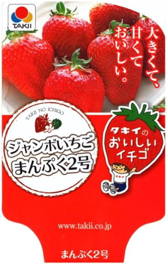 苺だいふく② 楽天市場】タキイ イチゴ苗 ジャンボイチゴ まんぷく2号 4号